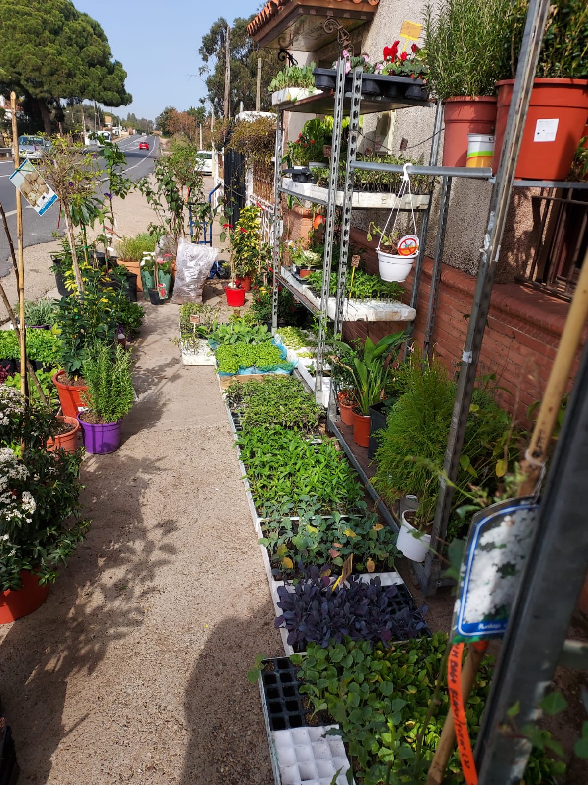 WhatsApp Image 2022-02-15 at 09.58.47